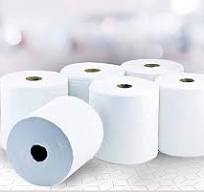 Maxi Roll 6 Pieces X 2 Ply